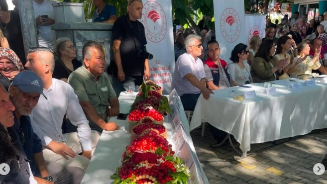 KİRAZ FESTİVALİ BAŞLADI