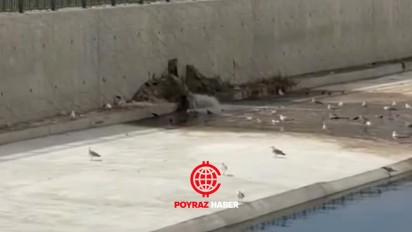 AKAY’DAN TESKİ’YE SERT TEPKİ: “BECERİKSİZSİNİZ!”